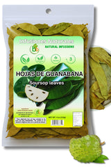 Guanábana Hojas Wildcrafted Soursop Tea – Simple Single-Ingredient Herbal Infusion for Clutter-Free Kitchens