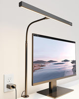 SUPERDANNY LED Desk Lamp – Single-Cord USB Desk Light for Intentional, Cable-Free Workspaces