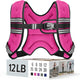 12 Lb - Pink