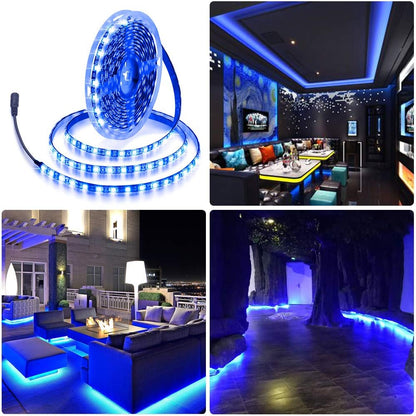 ALITOVE 16.4ft Blue LED Strip Light for Kitchen Under-Cabinet and Stair Tread Glow, 12V Cuttable