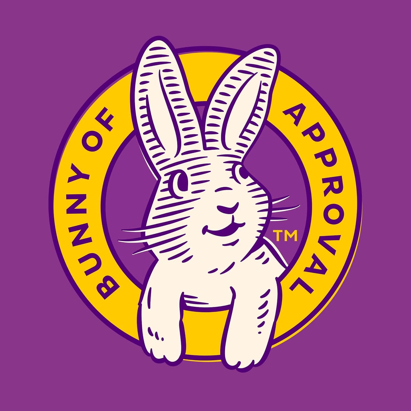 Annie's Organic Bunny Fruit Snacks – Thoughtful Holiday Gift for Allergy-Sensitive Kids, 15.4 oz Variety