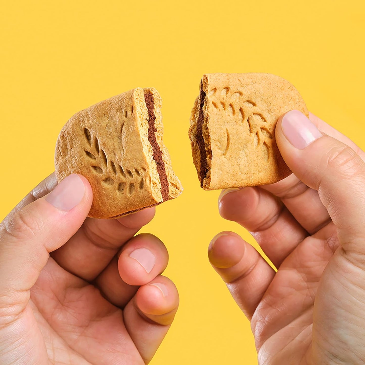 belVita Slow-Release Breakfast Bars – Wholesome Sweet Craving Fix for Health-Conscious Snackers, 12-Pack
