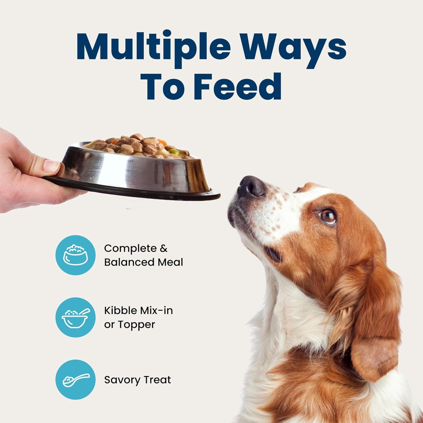 Blue Buffalo Blue's Stew Hearty Beef & Country Chicken Canned Dog Food, Wholesome Hydrating Meal for Wellness-Focused Pet Owners