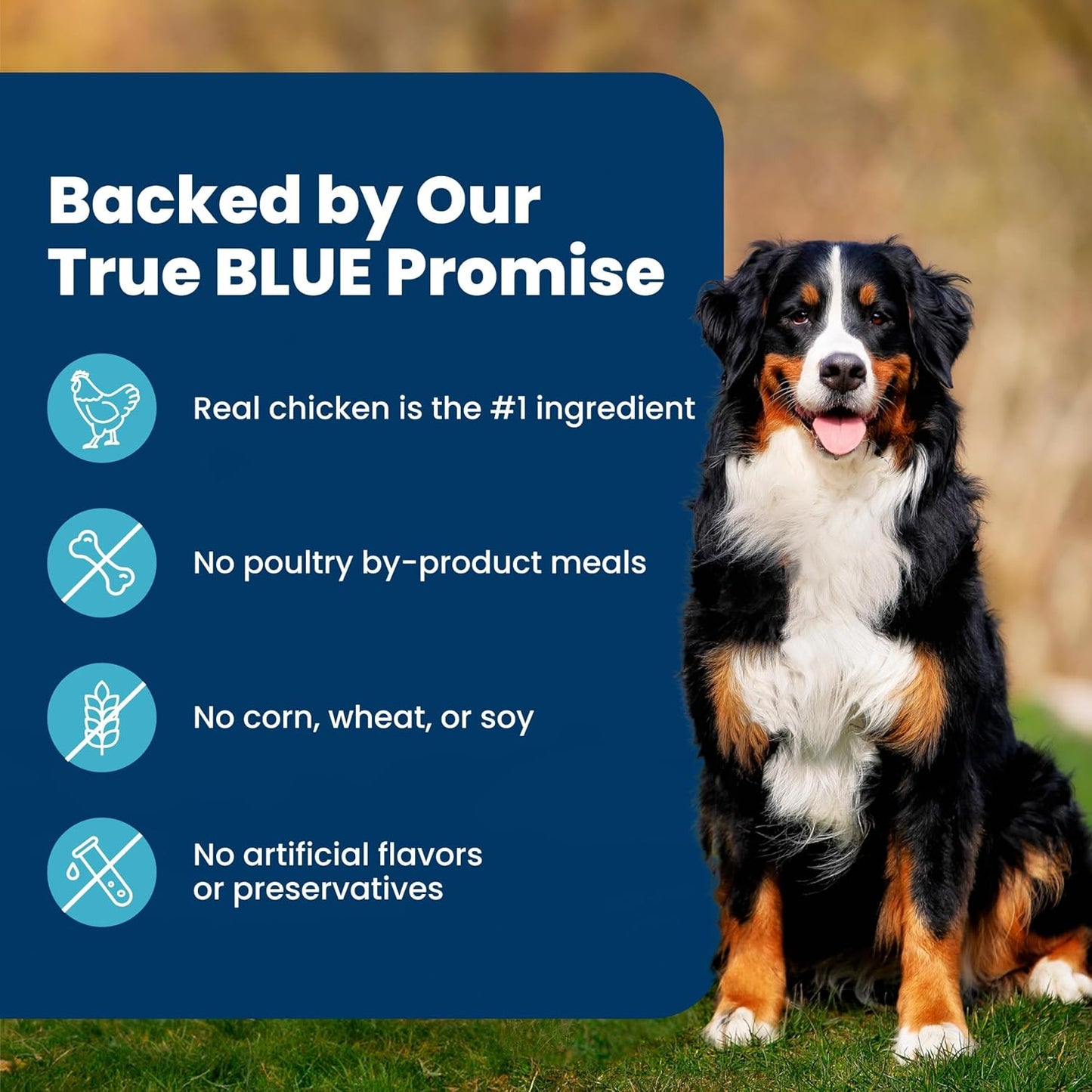 Blue Buffalo Life Protection Formula Adult Dog Food Chicken & Brown Rice – Welcome Home Gift for Adopted Dogs and Rescues, 24 lb