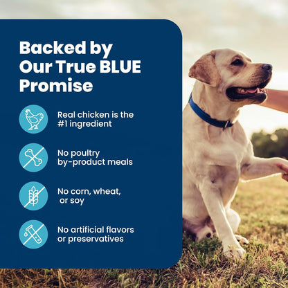 Blue Buffalo Life Protection Senior Dry Dog Food – Wholesome, Vet-Formulated Recipe Free of Artificial Flavors for Older Dogs, 15 lb