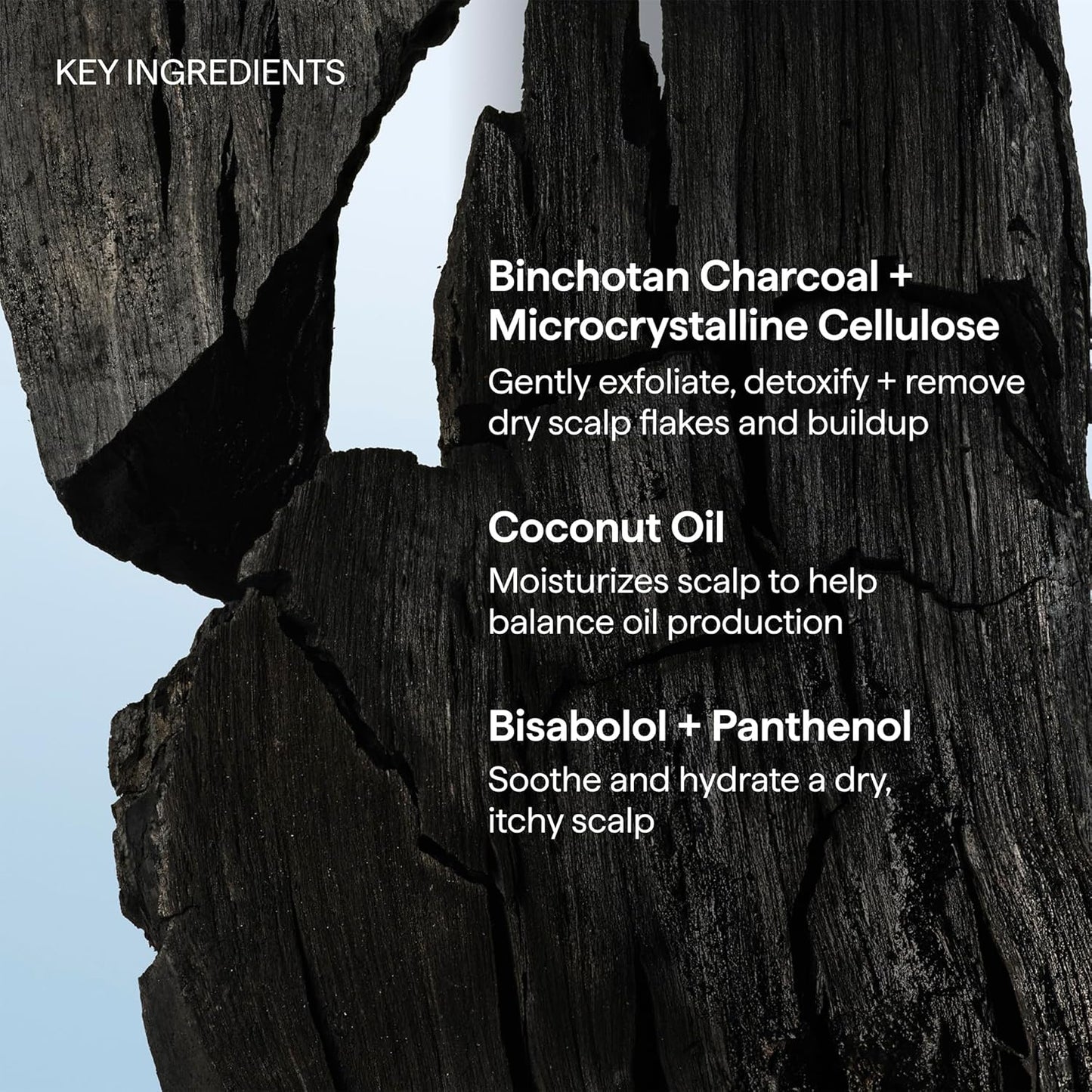 Briogeo Scalp Revival Charcoal + Coconut Oil Micro-Exfoliating Shampoo | Cooling Scalp Treatment for Post-Yoga Shower Meditation