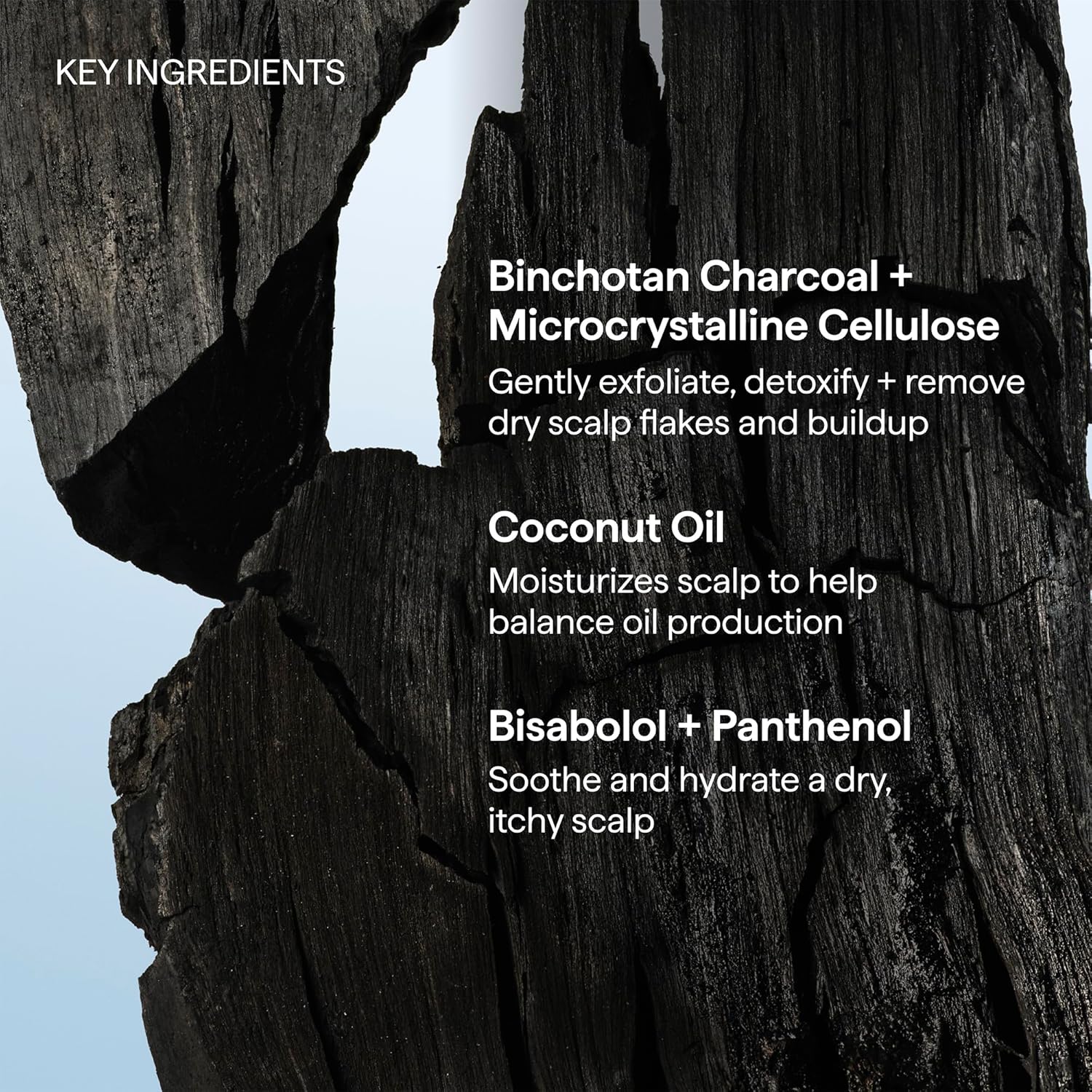 Briogeo Scalp Revival Charcoal + Coconut Oil Micro-Exfoliating Shampoo | Cooling Scalp Treatment for Post-Yoga Shower Meditation