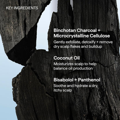 Briogeo Scalp Revival Charcoal + Coconut Oil Micro-Exfoliating Shampoo | Cooling Scalp Treatment for Post-Yoga Shower Meditation