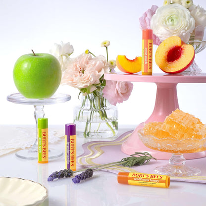 Burt's Bees 24 Hour Moisture Lip Balm Set – On the Go Protection for Patio and Outdoor Dining