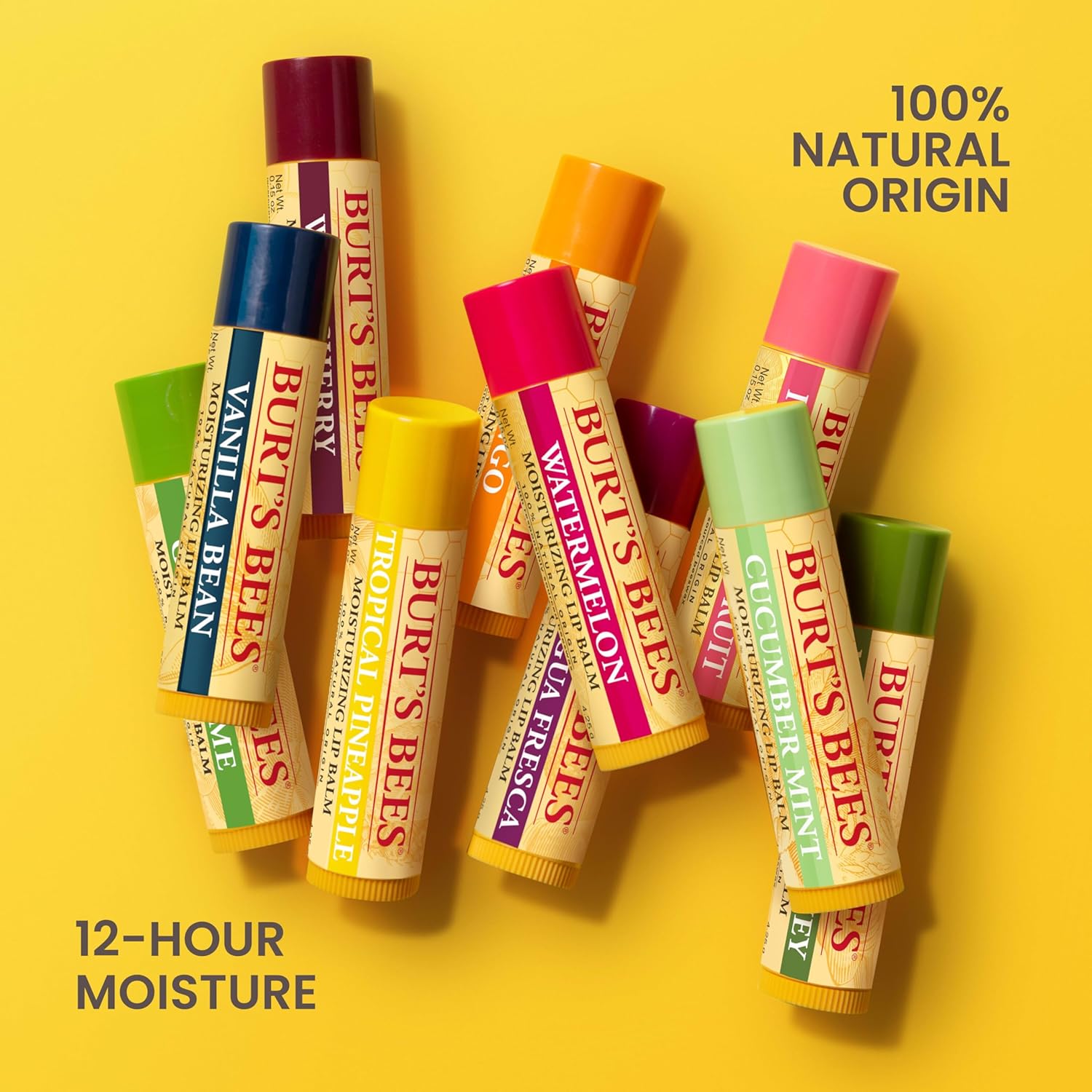 Burt's Bees Natural Lip Moisturizer Bulk – Intentional Everyday Essential for Capsule Bathroom and Travel Kit