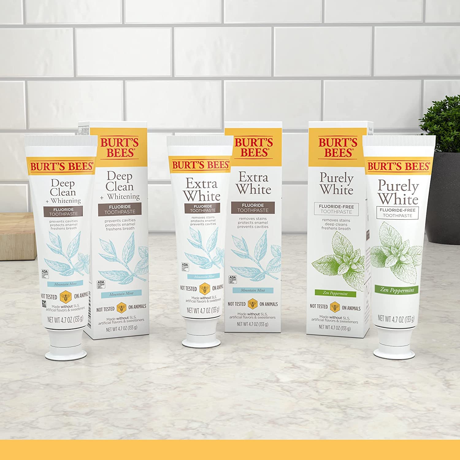 Burt's Bees Natural Mountain Mint Toothpaste Pack of 3 – Clean Fluoride-Free Option for Households Stocking the Kids' Bathroom
