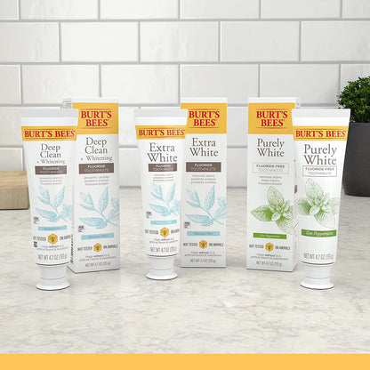 Burt's Bees Natural Mountain Mint Toothpaste Pack of 3 – Clean Fluoride-Free Option for Households Stocking the Kids' Bathroom