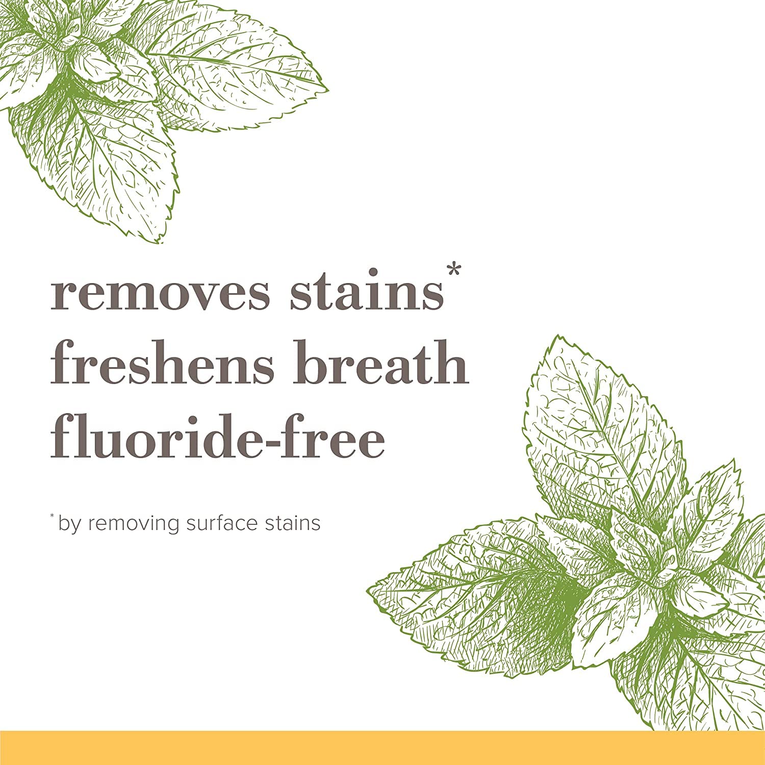 Burt's Bees Natural Mountain Mint Toothpaste Pack of 3 – Clean Fluoride-Free Option for Households Stocking the Kids' Bathroom