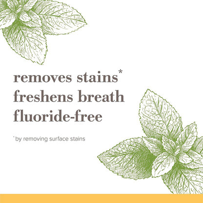 Burt's Bees Natural Mountain Mint Toothpaste Pack of 3 – Clean Fluoride-Free Option for Households Stocking the Kids' Bathroom