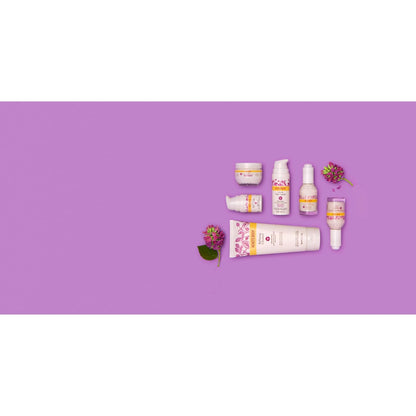 Burt's Bees Renewal Firming Face Cream – Dermatologist-Tested Natural Anti-Aging Cream Free of Parabens and Phthalates