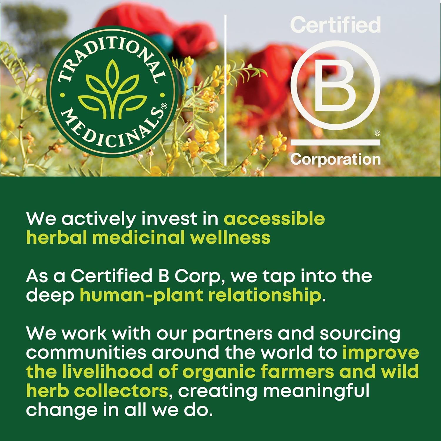 certified b corporation brand with measured environmental and social impact