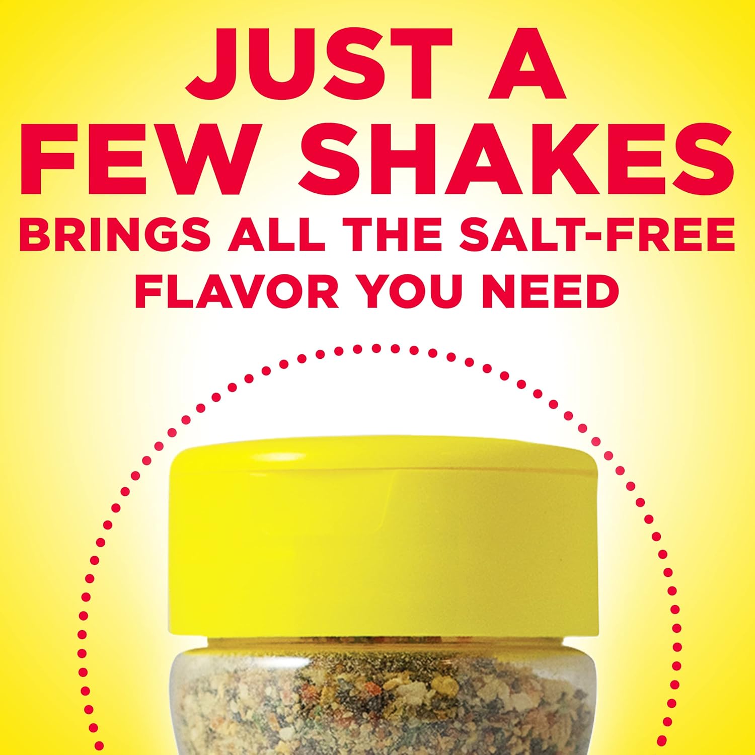 Dash Salt-Free Seasoning Blend – Travel-Friendly Spice for Open-Air Cookouts