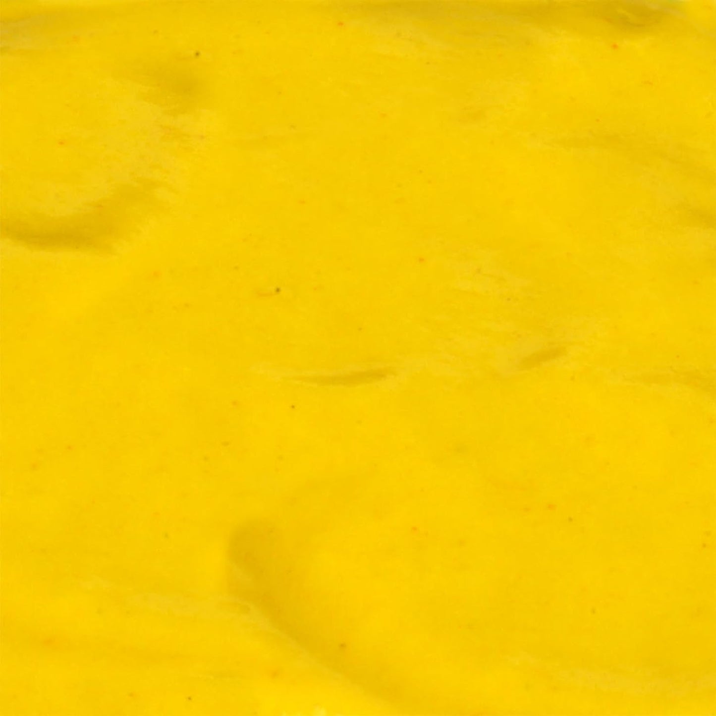 French's Gluten Free Yellow Mustard – Patio Cookout & Outdoor Grilling Mustard for Burgers, Pretzels & Fries, 14 oz