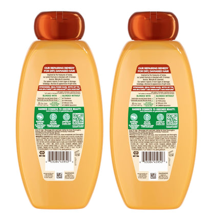 Garnier Whole Blends Honey Treasures Repairing Shampoo – Lovely Housewarming Present for Women Who Love Honey-Scented Hair Care