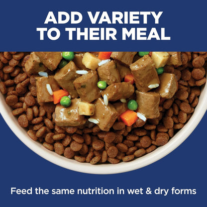 Hill's Science Diet Adult Sensitive Stomach & Skin, Chicken Recipe, 30 lb | Safe, Made-in-USA Formula for Sensitive Dogs