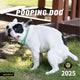 Pooping Dog 2