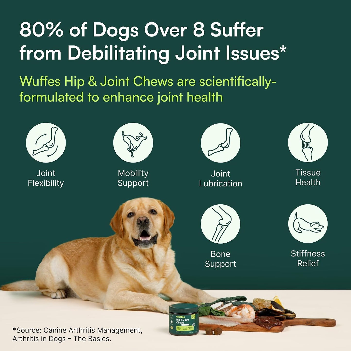 Large Breed Joint Chews – Holiday Gift for Dog Parents Who Prioritize Mobility