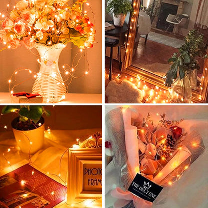 LumNest 2-Pack String Lights – Intentional Living Room Decor, Neutral Tone 200 LED Set