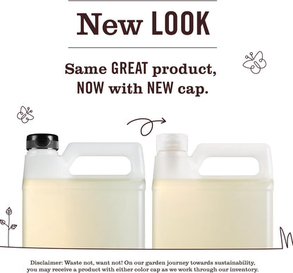 Mrs. Meyer's Clean Day Liquid Dish Soap 48 fl. oz – Simple One-Bottle Refill System for Intentional, Low-Waste Homes