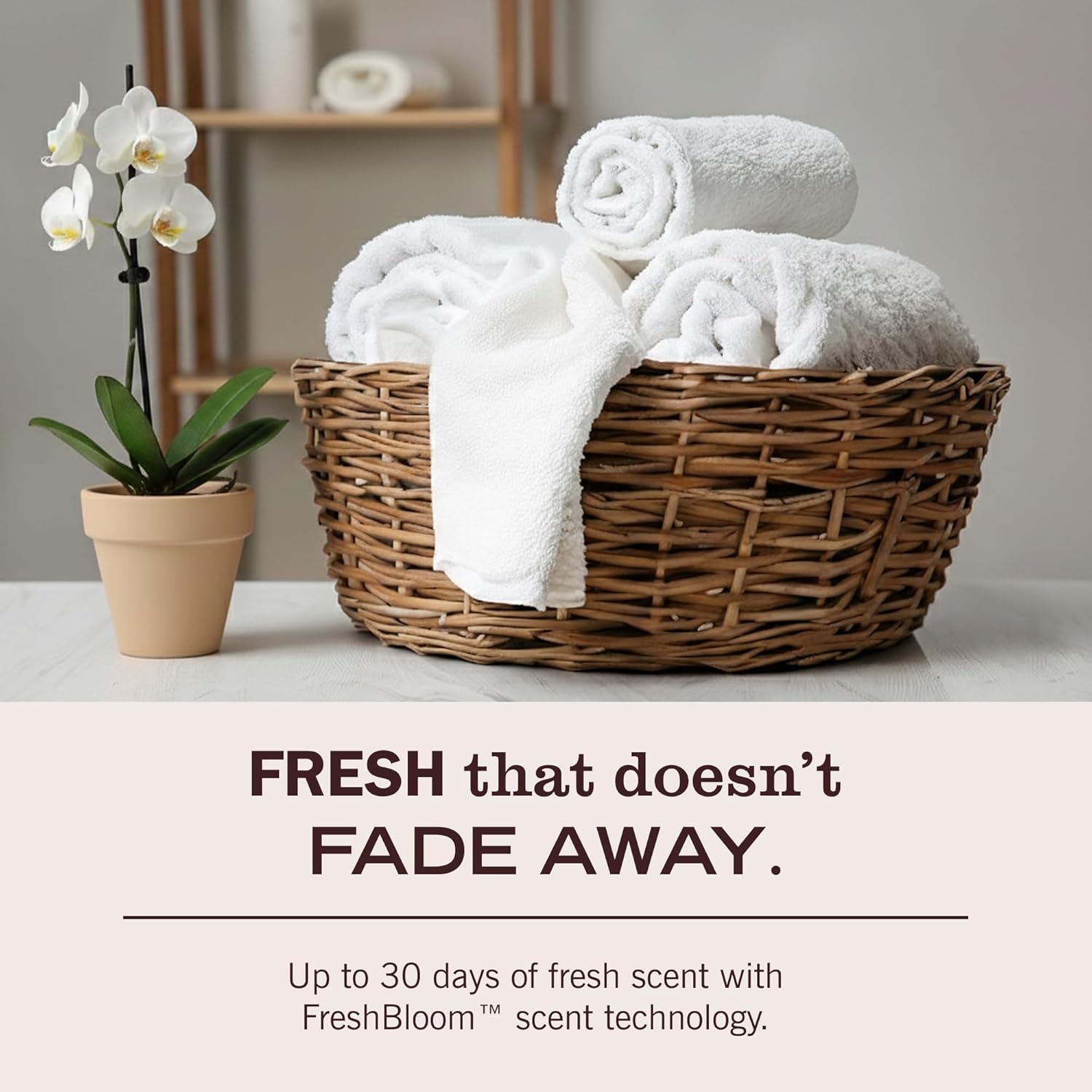 MRS. MEYER'S CLEAN DAY Multi-Pack Gift – Premium Natural Detergent for the Eco-Conscious Homemaker