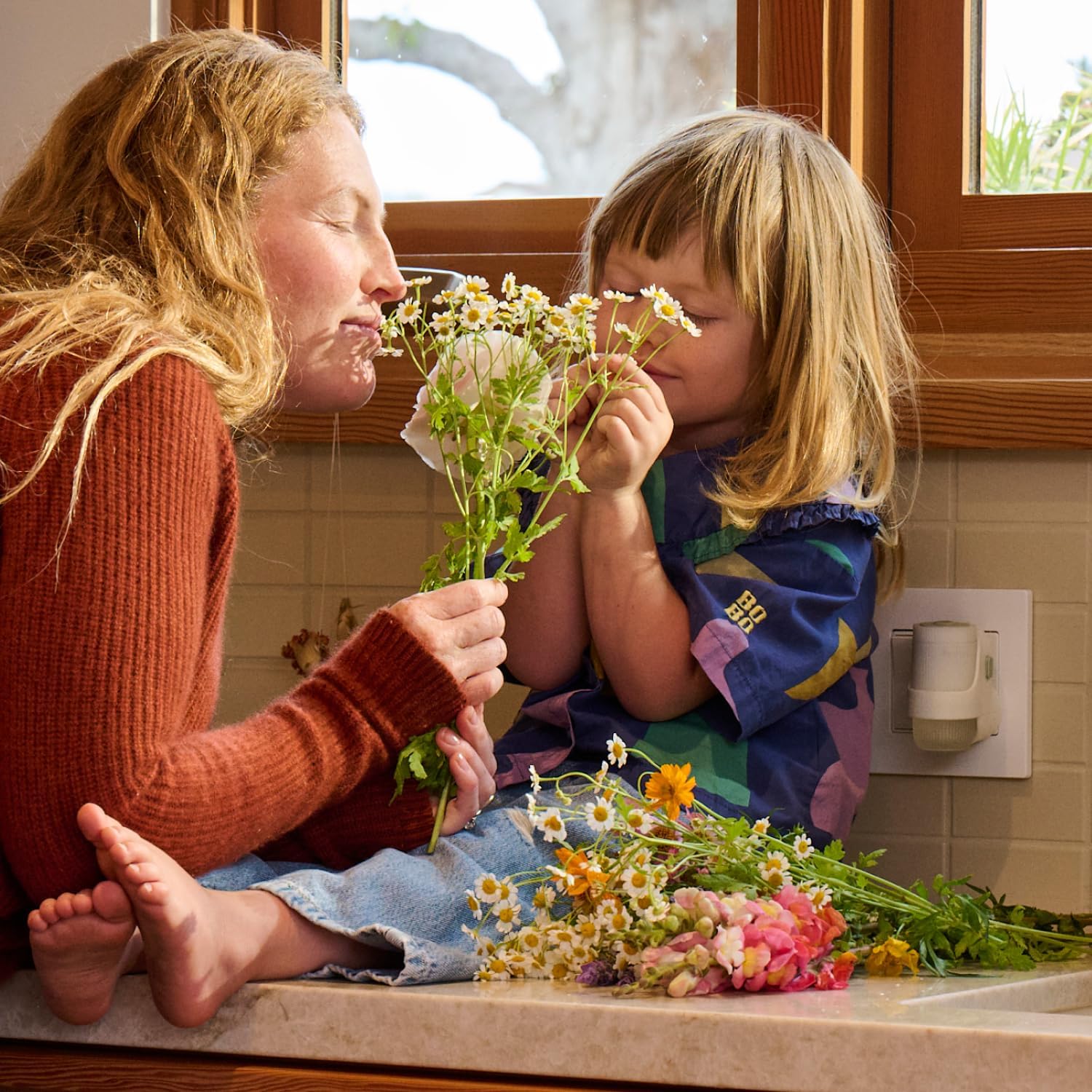 MRS. MEYER'S CLEAN DAY No-Flame Oil Warmer – Pet & Child-Safe Home Fragrance Solution