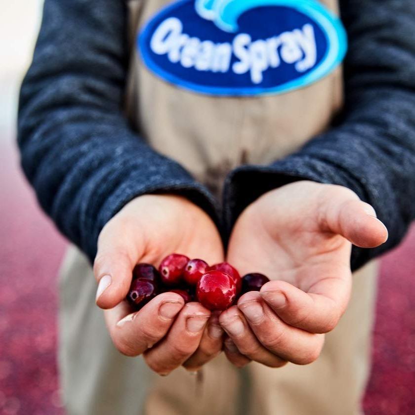 Ocean Spray Cran-Energy Cranberry Raspberry Energy Juice Drink for Yoga Studios and Refreshing Active Lifestyle Fuel