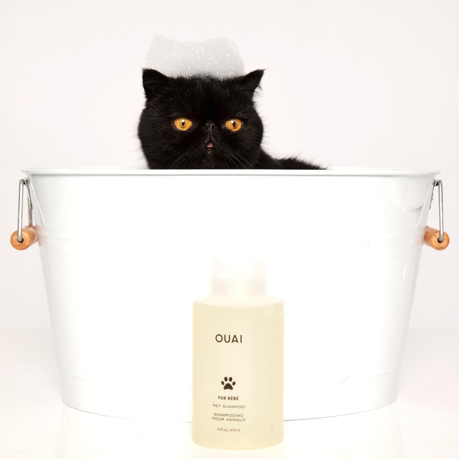 OUAI Fur Bébé Pet Shampoo - Clean-Rinse Hypoallergenic Pet Bath for Allergy-Prone Cats and Dogs, Plant-Based Formula (16 Fl oz)