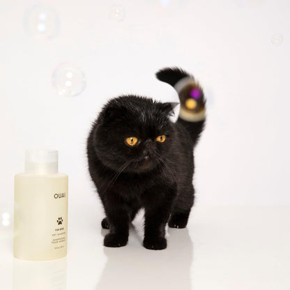 OUAI Fur Bébé Pet Shampoo - Clean-Rinse Hypoallergenic Pet Bath for Allergy-Prone Cats and Dogs, Plant-Based Formula (16 Fl oz)