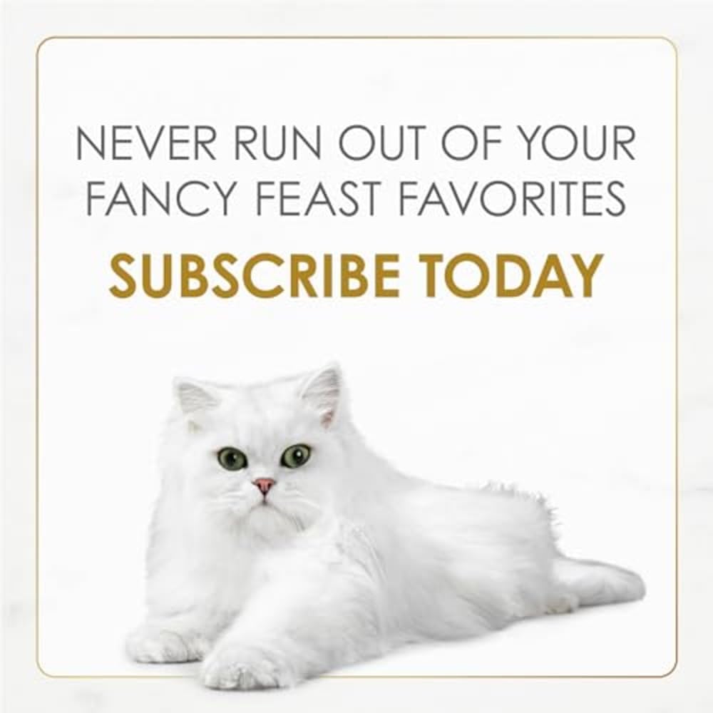 Purina Fancy Feast Gravy Lovers Wet Cat Food 30-Pack – Holiday Gift for Cat Lovers Who Pamper Their Pets