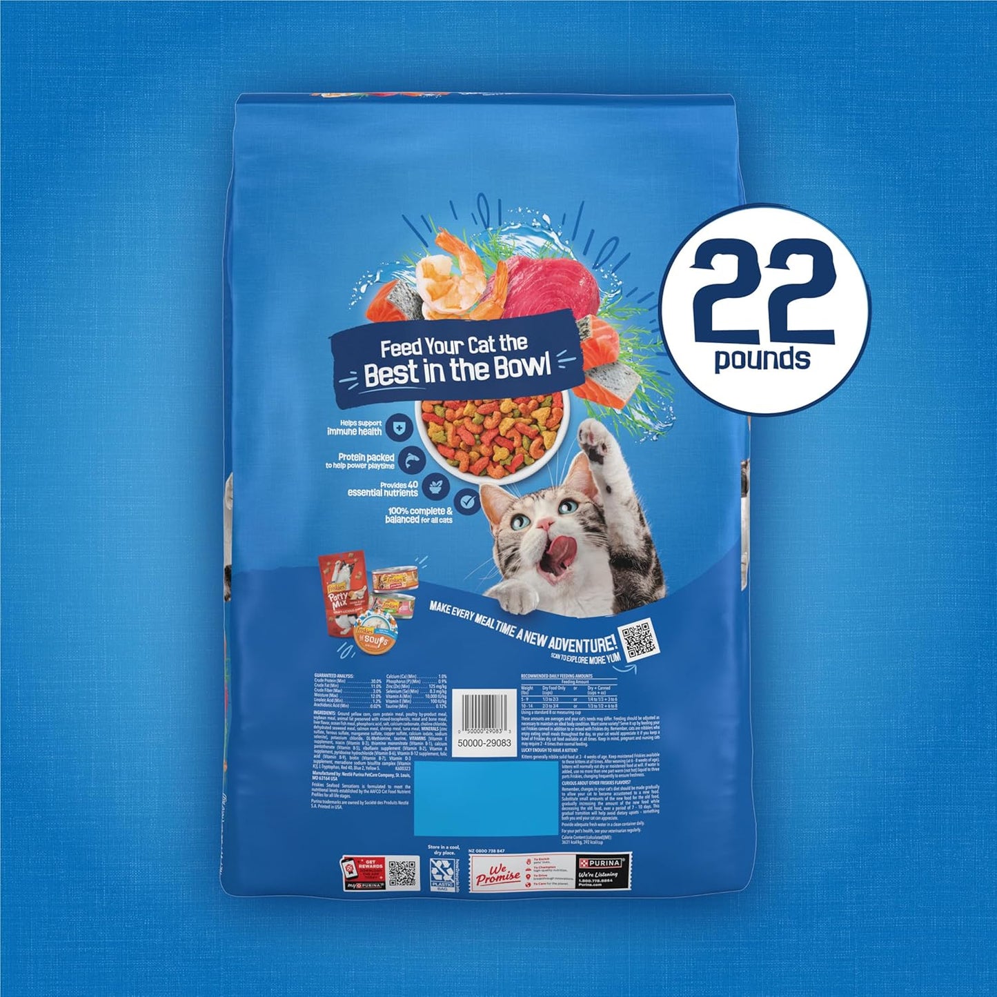 Purina Friskies Dry Cat Food Salmon Tuna Shrimp 22 lb. Bag - Useful Housewarming Gift for New Cat Parents