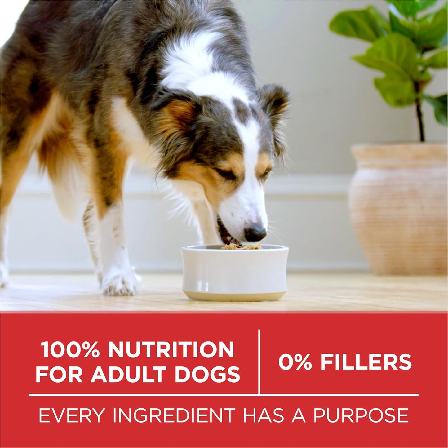 Purina ONE Chicken and Rice Dry Dog Food – Portable 8 lb Bag for Road Trips, Hiking Breaks and Kennel Stays