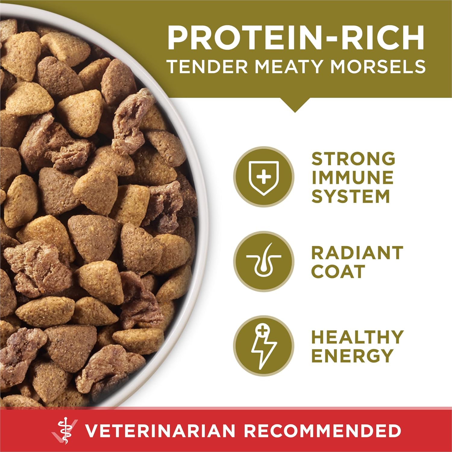 Purina ONE Lamb and Rice Adult Dog Food - USA-Made Kibble for Homes with Kids and Pets, 31.1 lb. Bag