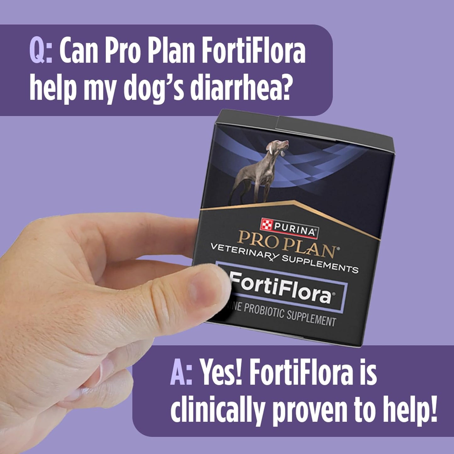 Purina Pro Plan FortiFlora Powder for Dogs – 60-Day Pack Gift for Boarding, Travel, and Rescue Caregivers
