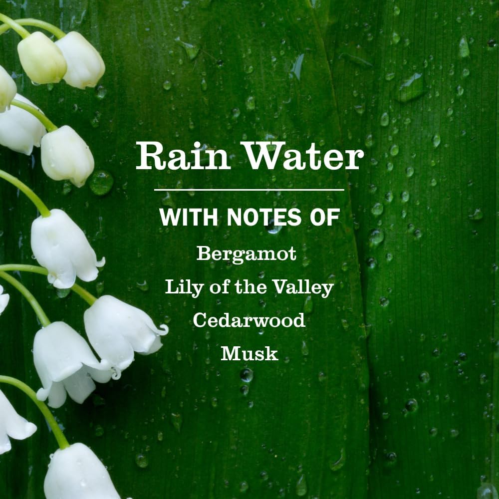 rain water garden-inspired scent with lily of the valley, bergamot, cedarwood, and musk notes