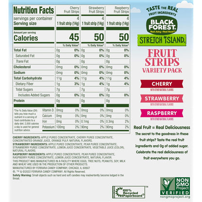 Stretch Island Fruit Strips – Birthday Party Goody Bag Filler for Kids, Fruit Leather Variety 48 Count