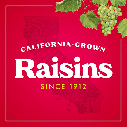 Sun-Maid Yogurt Coated Raisins – Real Fruit Snack for Gym Bag and Yoga Studio, Pre-Portioned 1 oz Packs