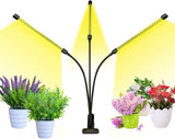 bseah Indoor Plant Light – Romantic Valentine's Day Gift for Her, Full Spectrum Grow Lamp for Houseplants