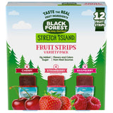 Stretch Island Fruit Strips – Birthday Party Goody Bag Filler for Kids, Fruit Leather Variety 48 Count