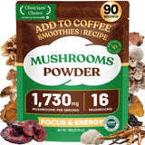 Venture Pal 16-Mushroom Adaptogen Powder – Pre-Workout Endurance and Focus Formula for the Desk and the Gym
