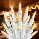 Warm White - 100 Count