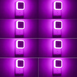 Sujeet Dusk to Dawn Night Light 8-Pack – Decorative Plug-in Lighting for Cozy Home Mood and Seasonal Styling