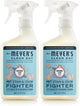 Coconut Leaf - 16 Fl Oz (Pack of 2)