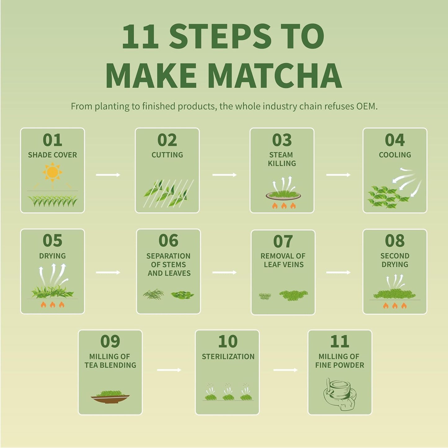 TIAN HU SHAN Culinary Matcha Powder – Antioxidant-Rich Self-Care Staple for Vegan Pantries, Rejuvenating Hot and Iced Drinks