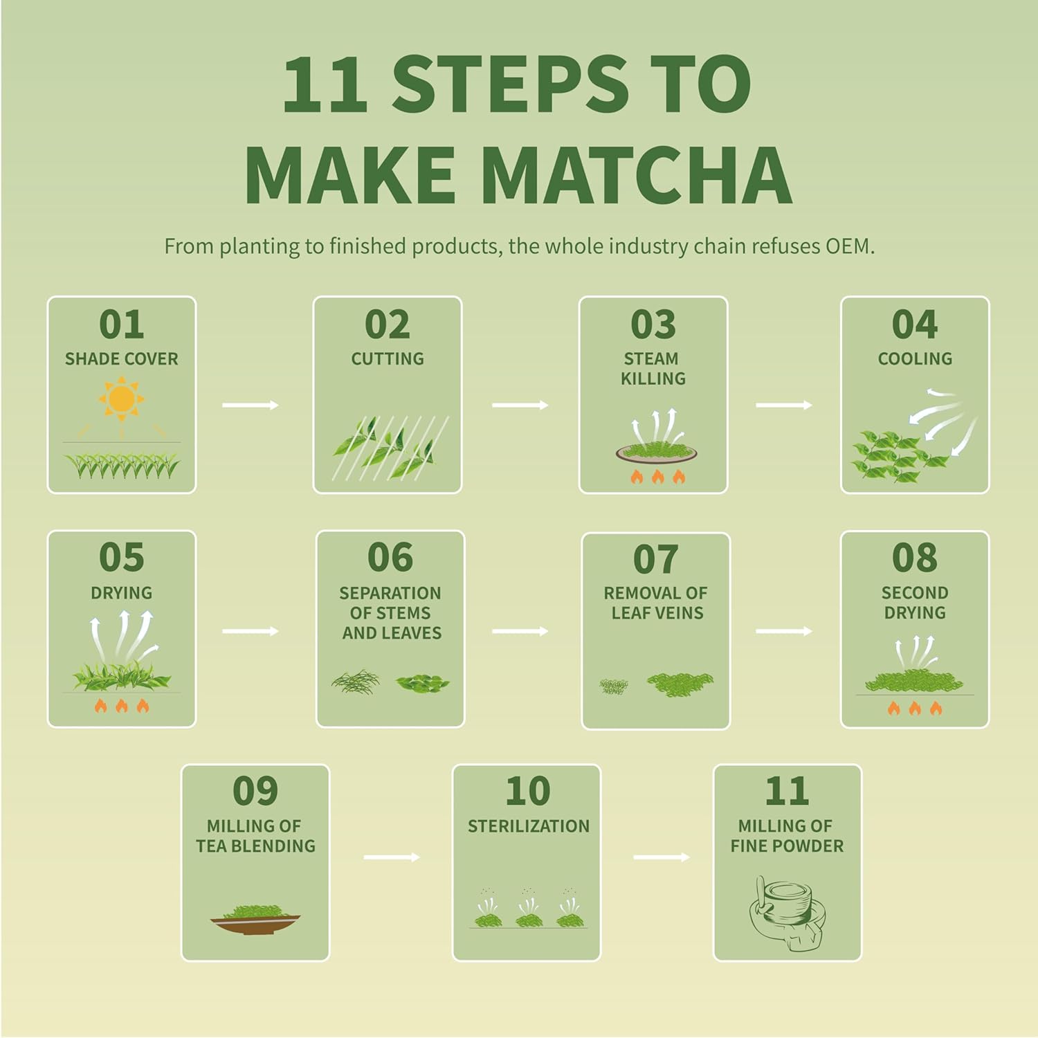 TIAN HU SHAN Culinary Matcha Powder – Antioxidant-Rich Self-Care Staple for Vegan Pantries, Rejuvenating Hot and Iced Drinks