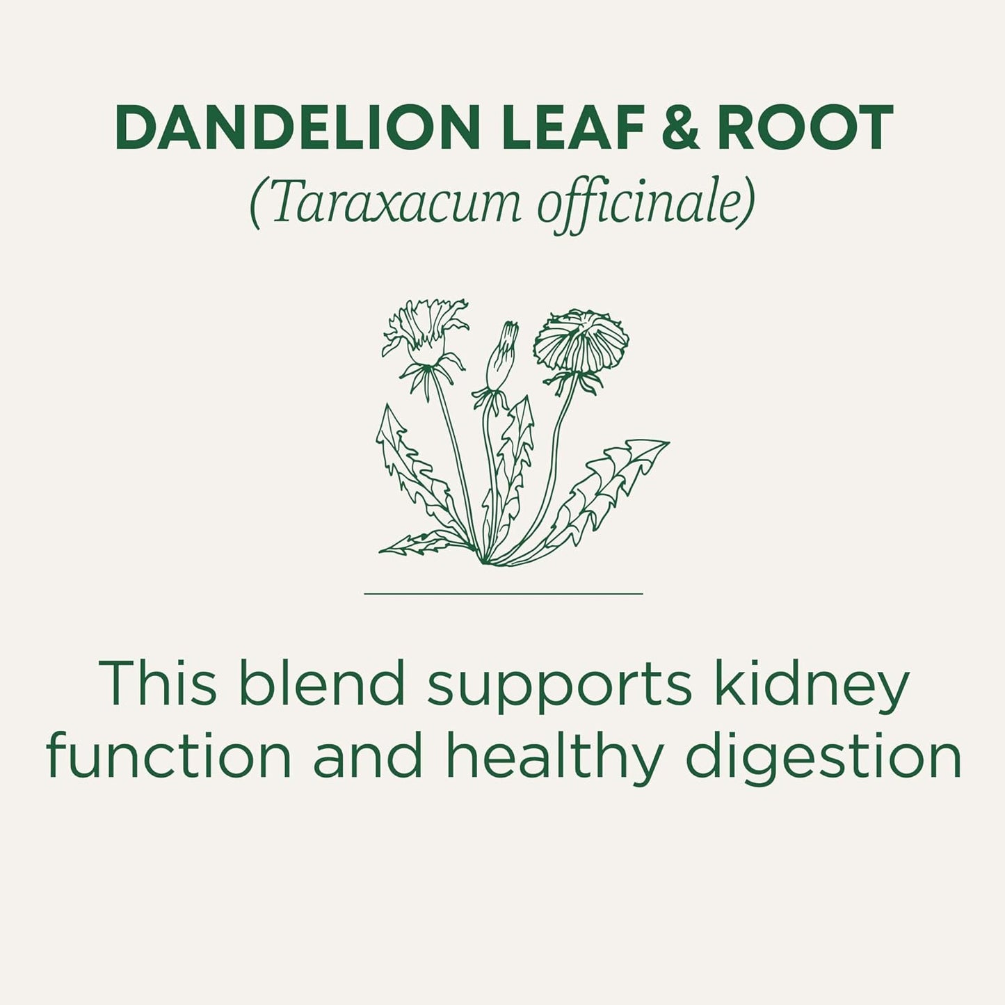 Traditional Medicinals Organic Dandelion Herbal Tea – Holiday Gift for Women Who Love Plant-Based Wellness